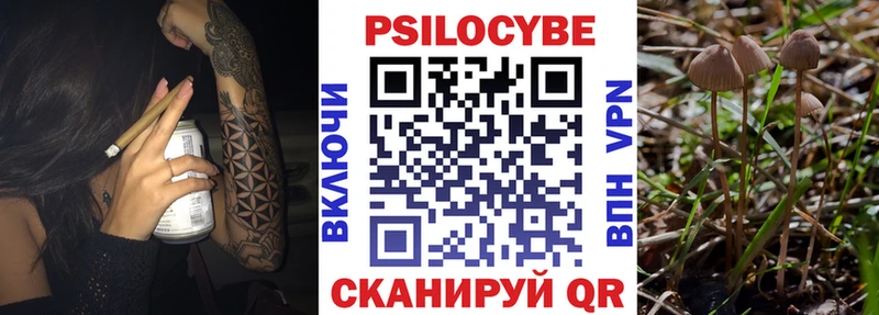 купить наркотики сайты  Сысерть  Псилоцибиновые грибы мицелий 